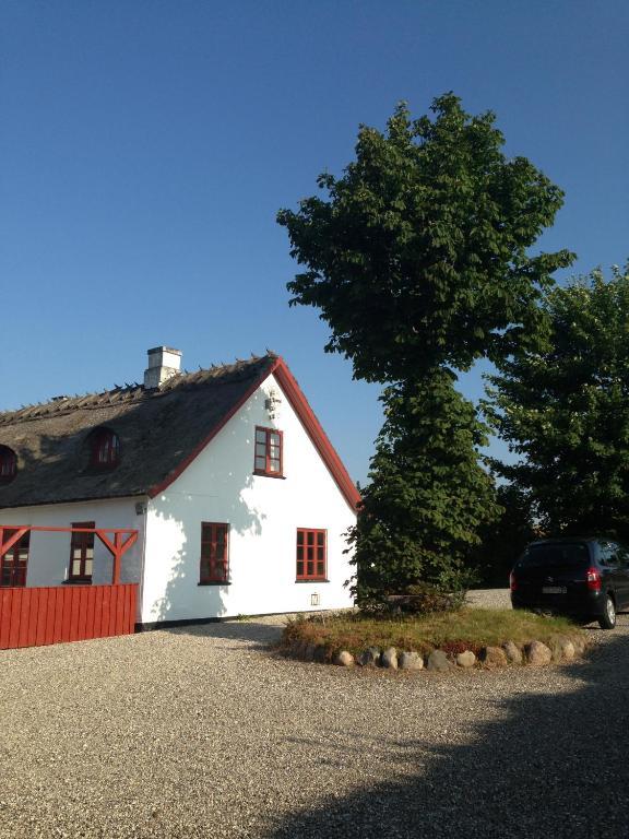 Bulbrovejs Bed & Breakfast Havdrup Екстер'єр фото